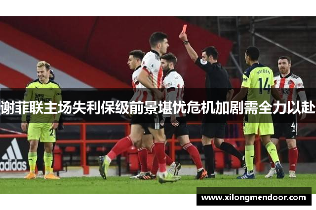 谢菲联主场失利保级前景堪忧危机加剧需全力以赴