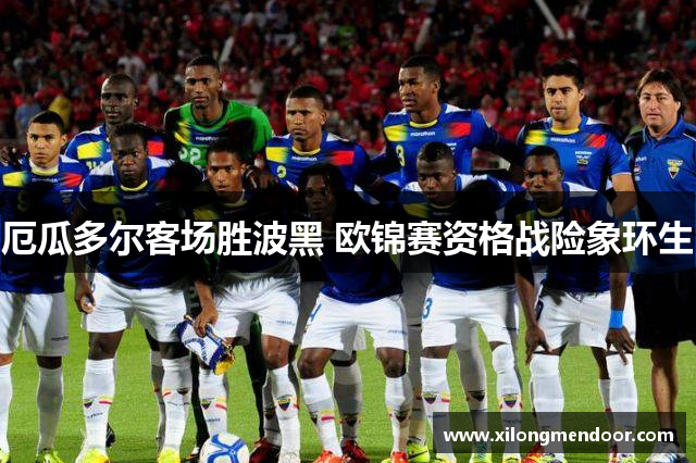 厄瓜多尔客场胜波黑 欧锦赛资格战险象环生