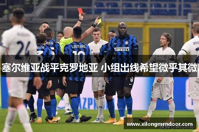 塞尔维亚战平克罗地亚 小组出线希望微乎其微