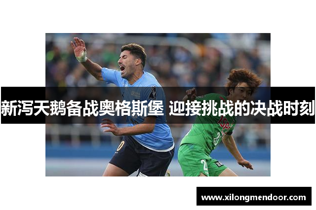 新泻天鹅备战奥格斯堡 迎接挑战的决战时刻