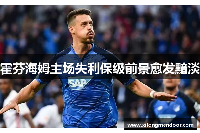 霍芬海姆主场失利保级前景愈发黯淡