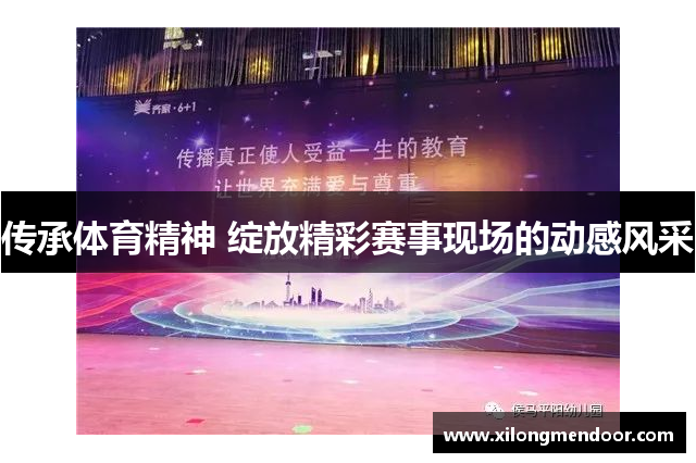 传承体育精神 绽放精彩赛事现场的动感风采