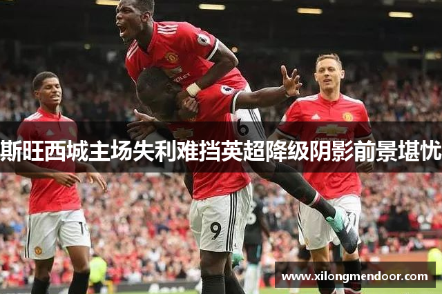 斯旺西城主场失利难挡英超降级阴影前景堪忧