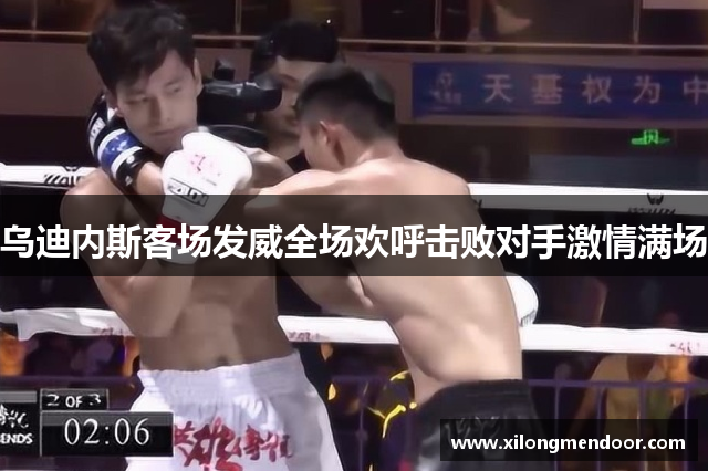 乌迪内斯客场发威全场欢呼击败对手激情满场