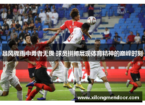 暴风骤雨中勇者无畏 球员拼搏展现体育精神的巅峰时刻