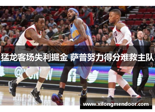 猛龙客场失利掘金 萨普努力得分难救主队