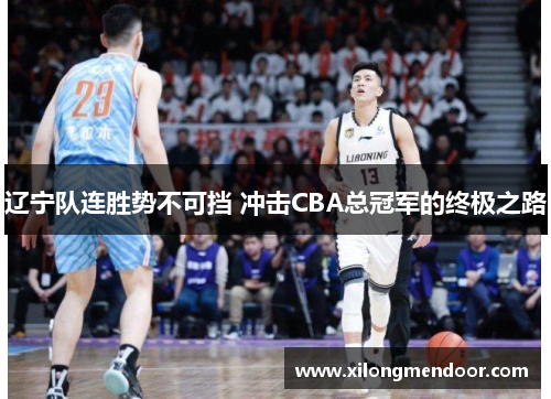 辽宁队连胜势不可挡 冲击CBA总冠军的终极之路