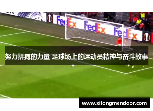 努力拼搏的力量 足球场上的运动员精神与奋斗故事