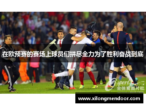 在欧预赛的赛场上球员们拼尽全力为了胜利奋战到底