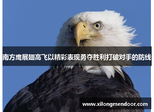 南方鹰展翅高飞以精彩表现勇夺胜利打破对手的防线