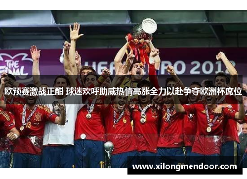 欧预赛激战正酣 球迷欢呼助威热情高涨全力以赴争夺欧洲杯席位