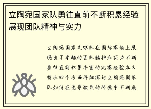 立陶宛国家队勇往直前不断积累经验展现团队精神与实力