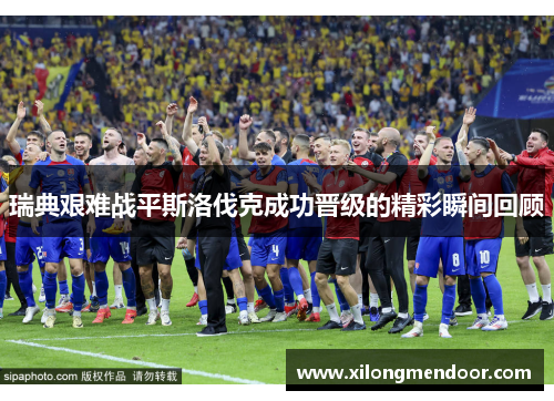 瑞典艰难战平斯洛伐克成功晋级的精彩瞬间回顾