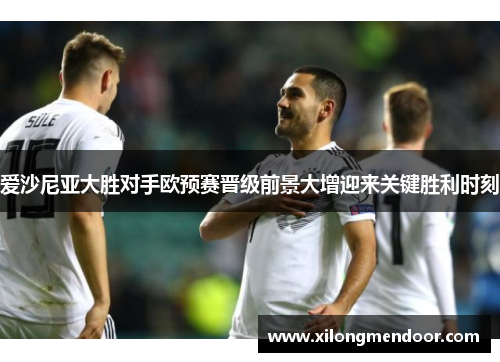 爱沙尼亚大胜对手欧预赛晋级前景大增迎来关键胜利时刻