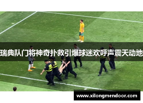 瑞典队门将神奇扑救引爆球迷欢呼声震天动地