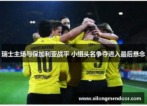 瑞士主场与保加利亚战平 小组头名争夺进入最后悬念
