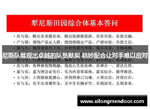 尼斯队展现出卓越的队员默契 精妙配合让对手难以应对