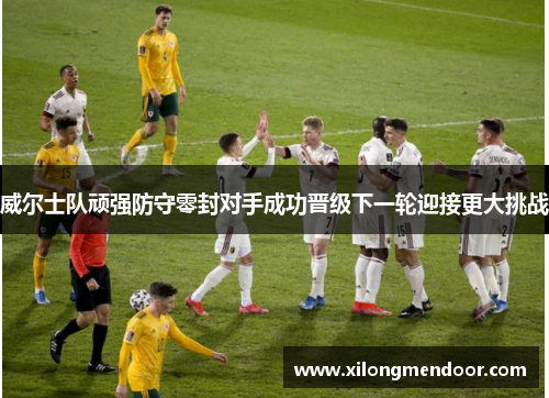 威尔士队顽强防守零封对手成功晋级下一轮迎接更大挑战