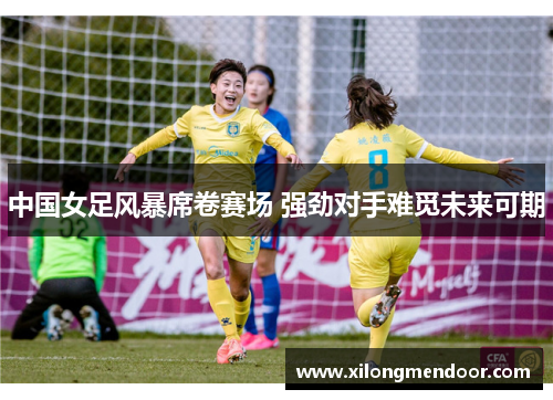中国女足风暴席卷赛场 强劲对手难觅未来可期