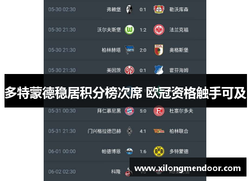 多特蒙德稳居积分榜次席 欧冠资格触手可及