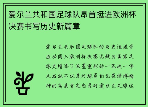 爱尔兰共和国足球队昂首挺进欧洲杯决赛书写历史新篇章