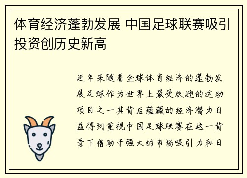 体育经济蓬勃发展 中国足球联赛吸引投资创历史新高