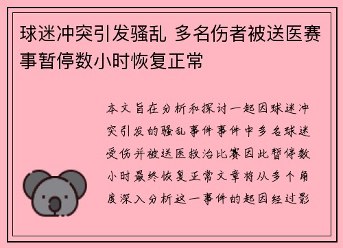 球迷冲突引发骚乱 多名伤者被送医赛事暂停数小时恢复正常