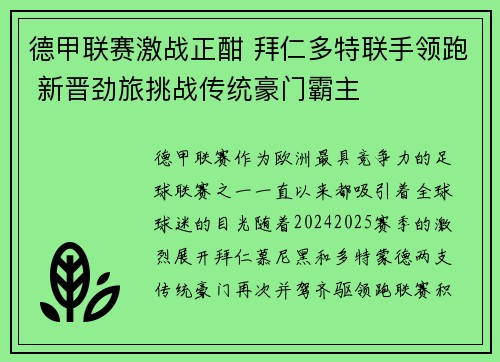 德甲联赛激战正酣 拜仁多特联手领跑 新晋劲旅挑战传统豪门霸主