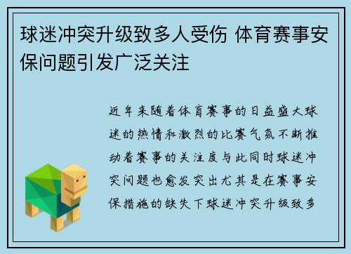 球迷冲突升级致多人受伤 体育赛事安保问题引发广泛关注