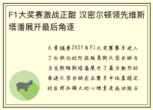 F1大奖赛激战正酣 汉密尔顿领先维斯塔潘展开最后角逐